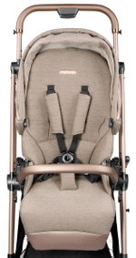 Прогулочная коляска Peg Perego Vivace New Mon Amour