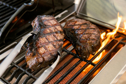 Газовый гриль Nexgrill Prime BISON 5B