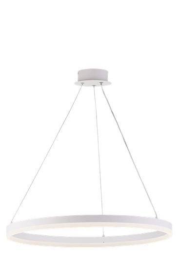 20214-6 SWT (1) Светильник (RL)