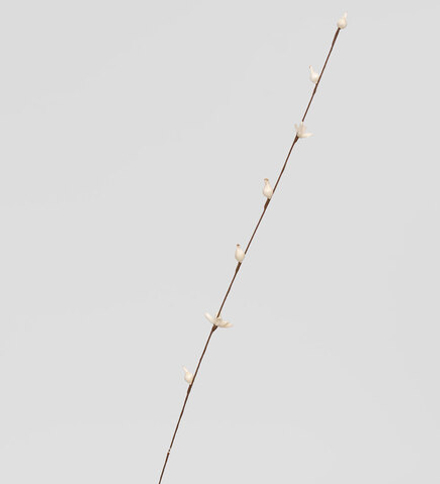 TR 414 Ветка жасмина