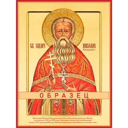 Священномученик Николай (Кандауров) Мч-242