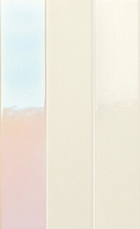 41zero42 Spectre Cream Hologram 5x25