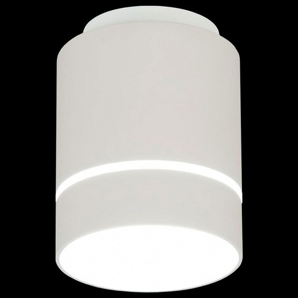 Накладной светильник Citilux Борн CL745010N