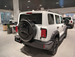 Чехол запаски нержавейка черный мат RALEX Tank 300