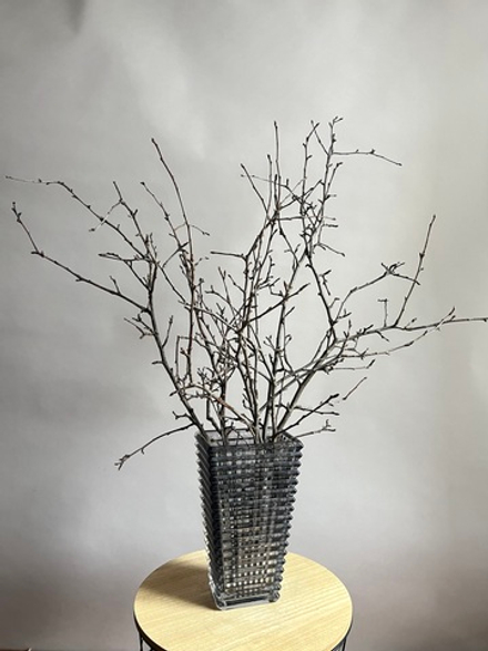 Ветки плодовые