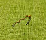 Infinix Smart 8 (X6525) - шлейф сканер отпечатка пальцев (ORIG-SP)