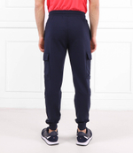 Спортивные штаны EA7 - темно-синий(3RPP55 PJLIZ)