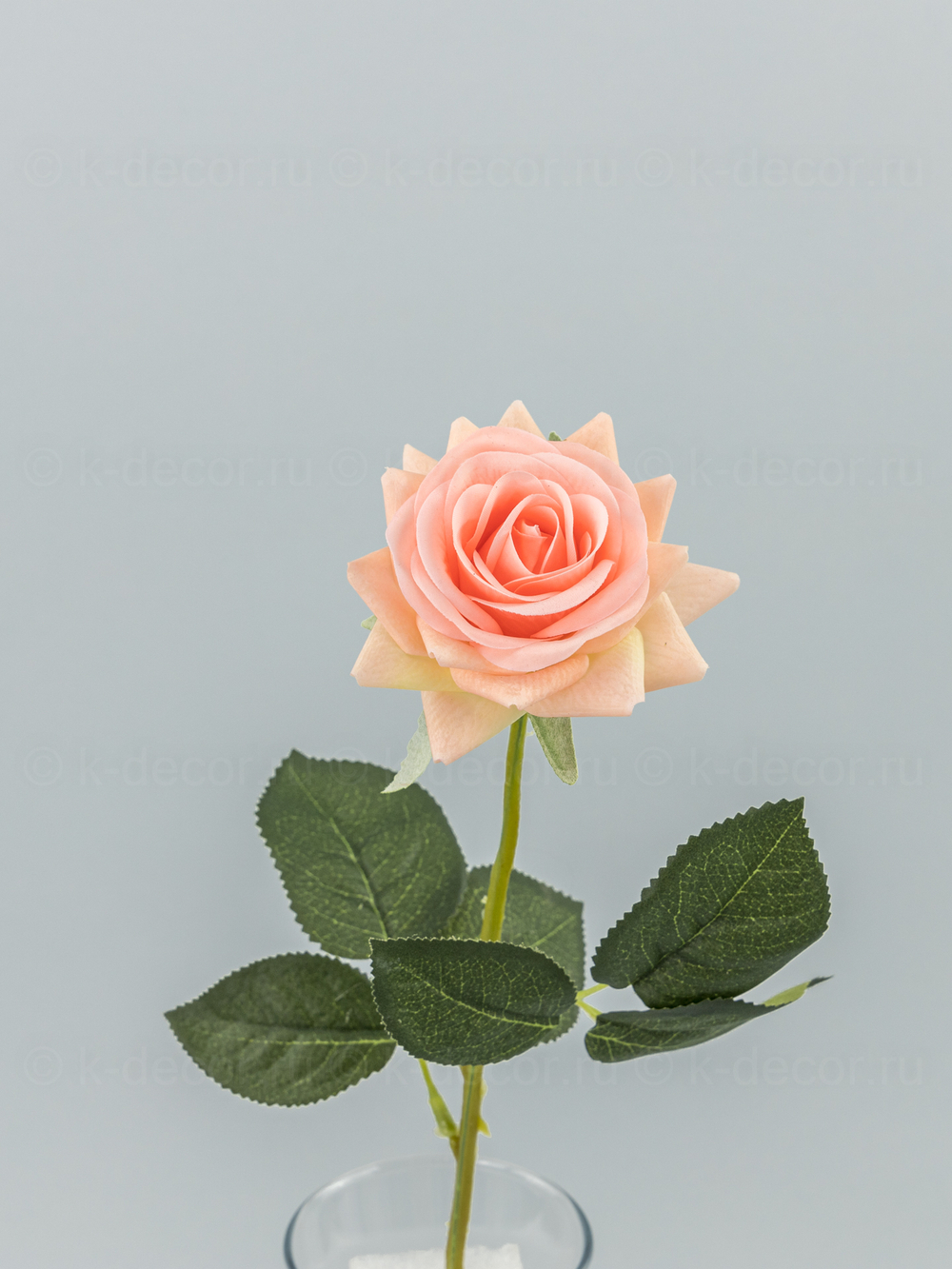 Роза Фелиция силикон