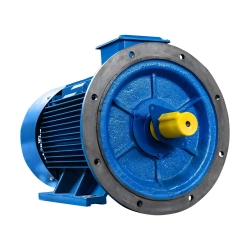 Электродвигатель 5АИ 315 S2 160/3000 IM2001