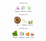 Bois Obscur Byredo 100 ml (duty free парфюмерия)