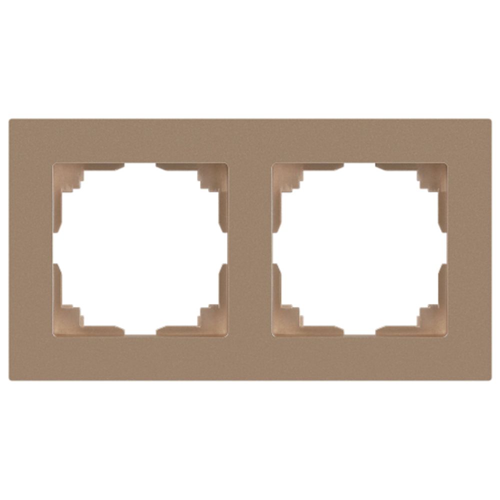 Рамка для розеток и выключателей Intro Accent 6-502-04 на 2 поста, СУ, шампань | Intro