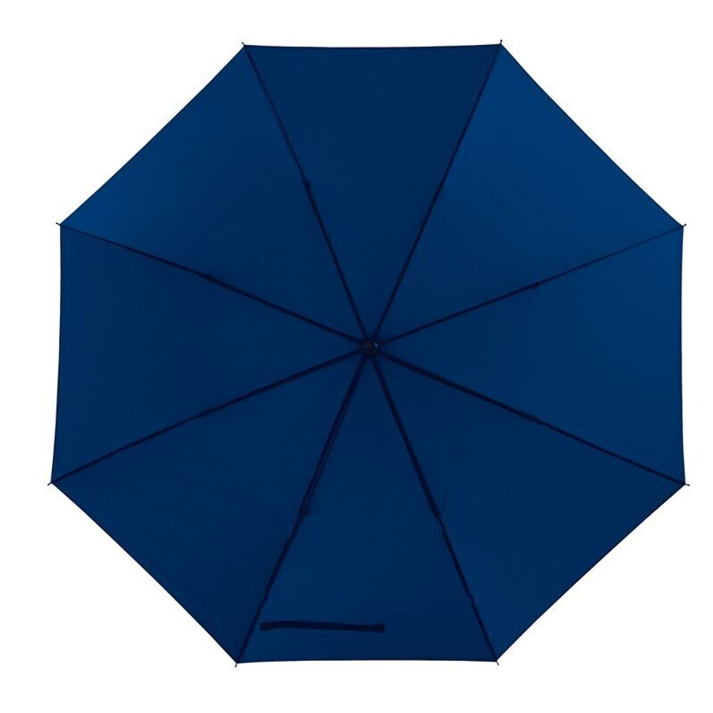 Ветроустойчивый зонт WIND