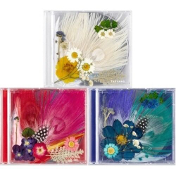 Альбом Bigbang Taeyang - White Night 3rd Album 3 Version SET