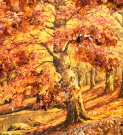 AMB-54/ 7 Картина «Красота природы» (с янтарной крошкой) дер.рамка 12х15