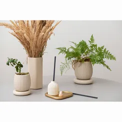 Диффузор ароматический vetiver & black cypress из коллекции edge, 200 мл, бежевый