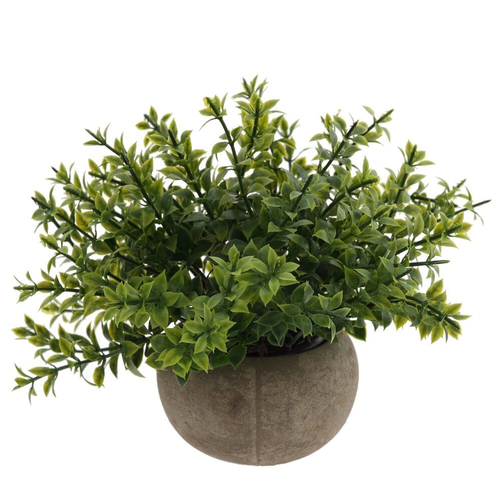 GAEM Цветочная композиция, L20 W20 H17 см