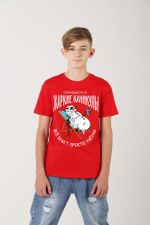 Фуфайка (футболка) для мальчика Карнавал-2 Виотекс КРАСНЫЙ