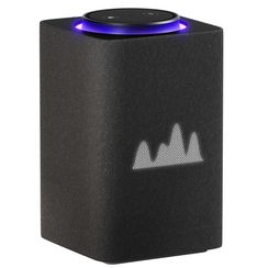 Умная колонка Яндекс Станция Макс Zigbee с Алисой Черная