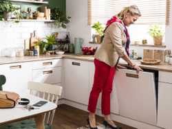 Встраиваемая посудомоечная машина Hansa ZIM605EH