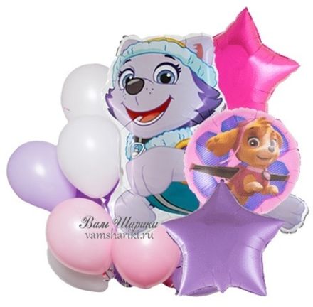 Букет шаров "Щенок Эверест: Щенячий Патруль"