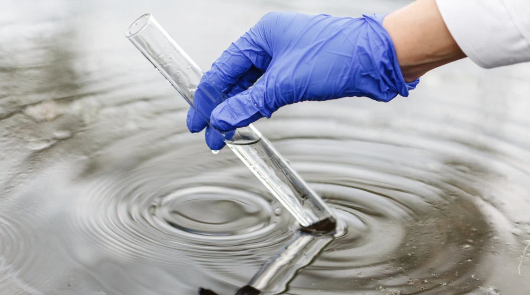 Запахи от септика: 5 реальных причин и способы устранения без замены системы