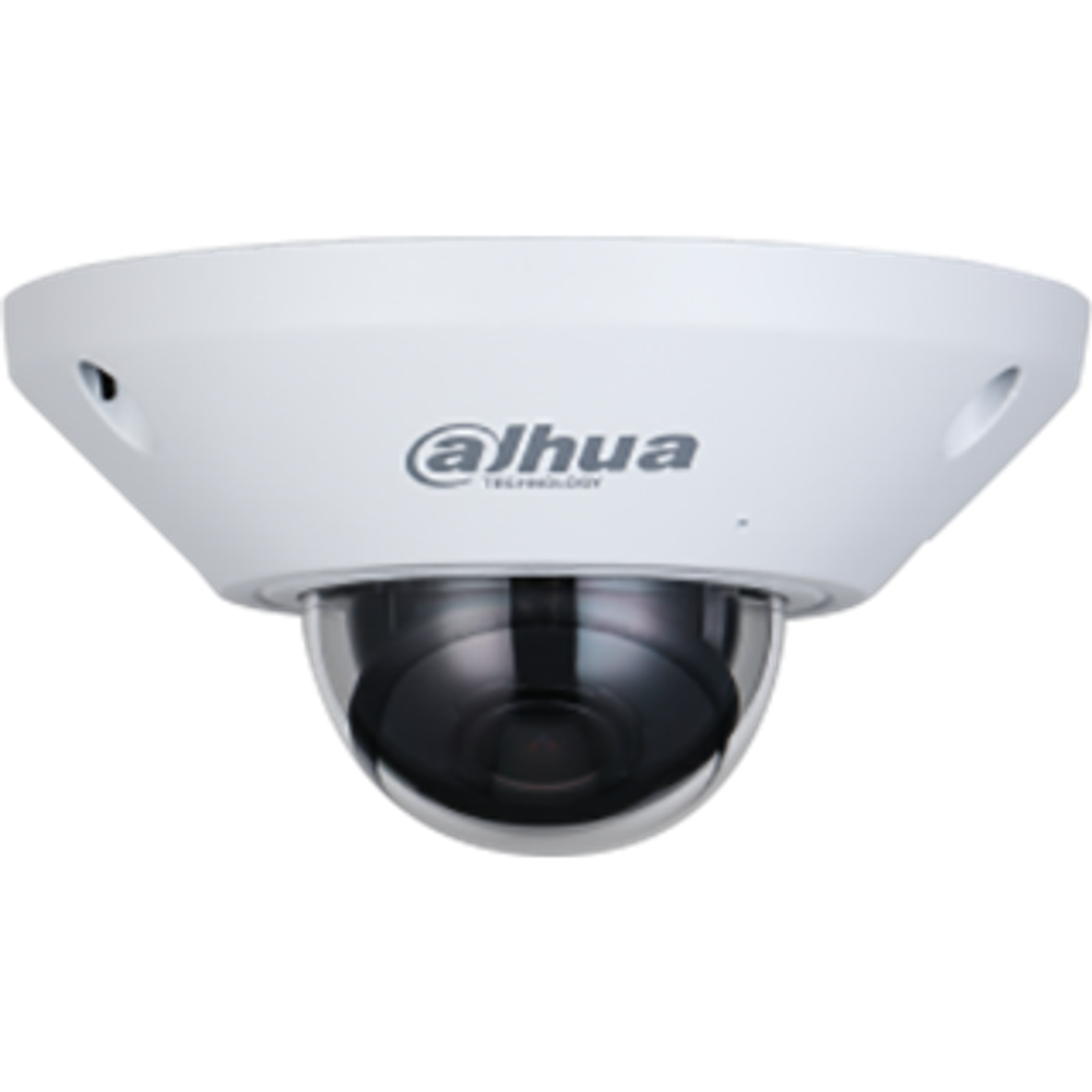 IP камера Dahua DH-IPC-EB5541P-AS
