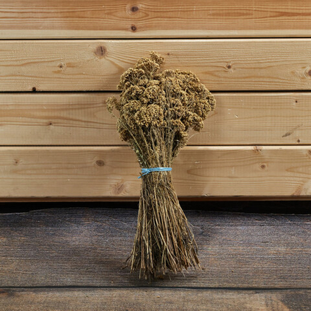 Тысячелистник, букет, 200 г