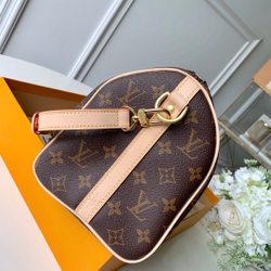 Louis Vuitton Speedy 25