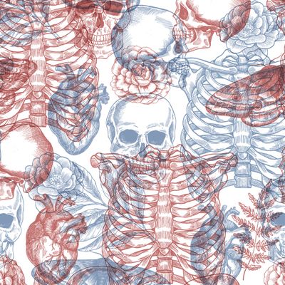 Анатомический 3D принт с черепами и костями