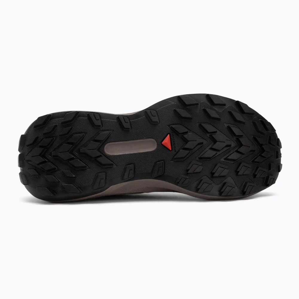 Женские Кроссовки для бега Salomon Genesis Iron/vanilla ice/cyclamen