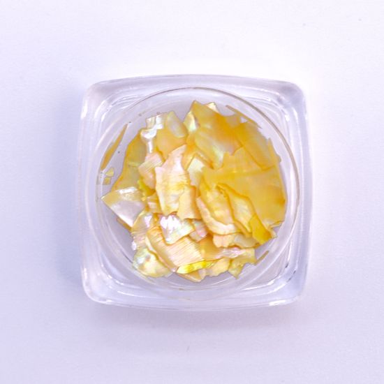 "Ракушечник" для дизайна ногтей №12