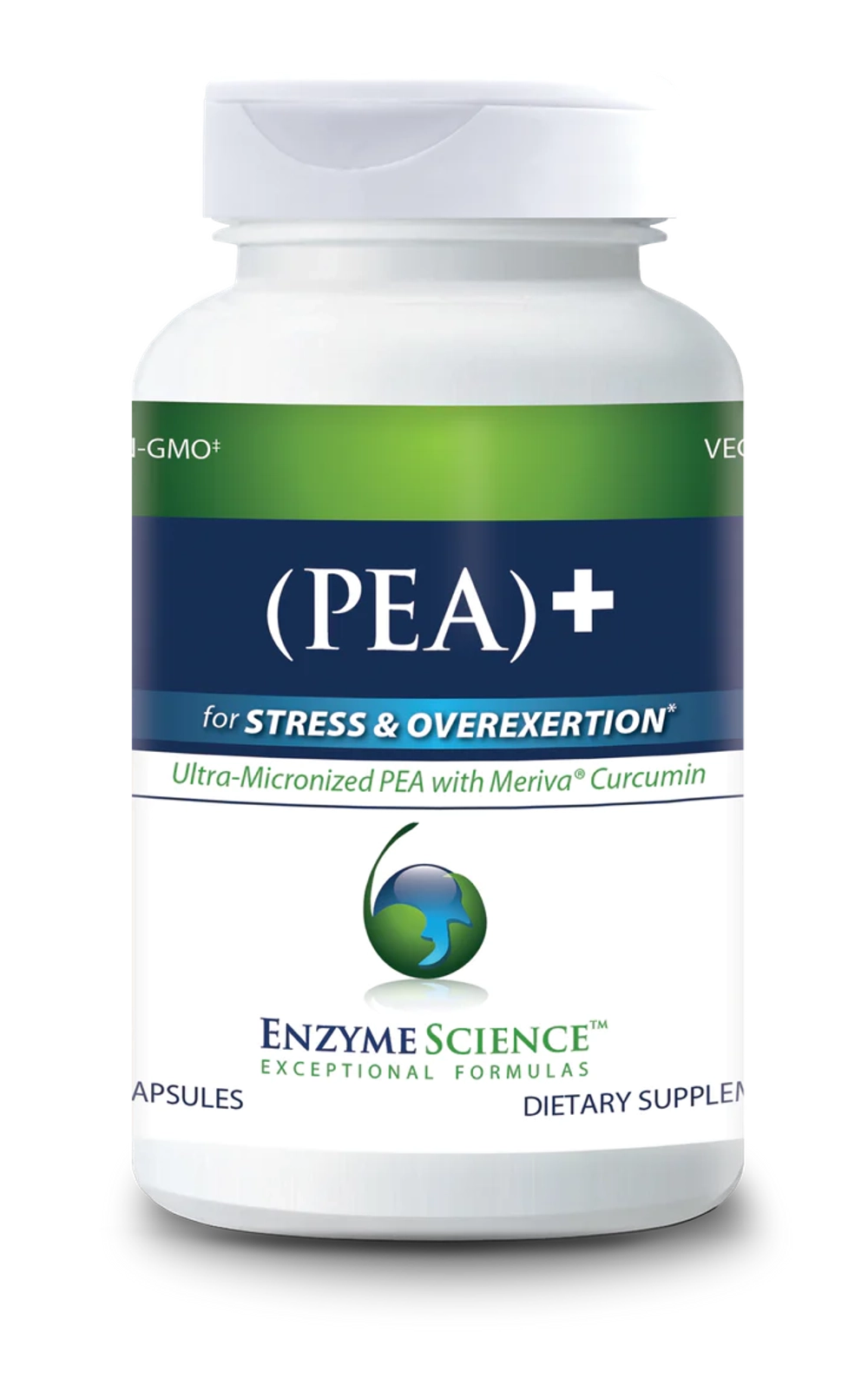 PEA + Meriva Curcumin 120 капсул Enzyme Science