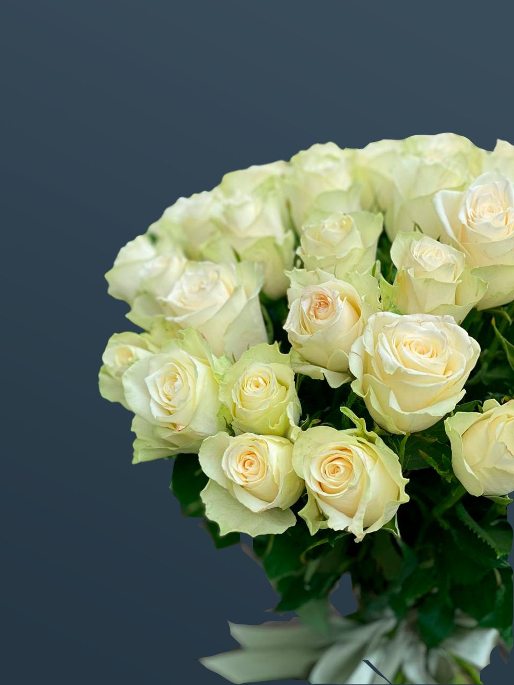 Розы белые 51 шт