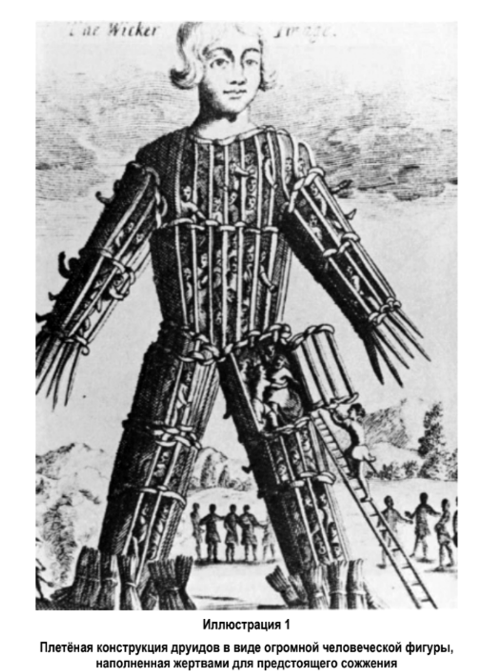 Человеческие жертвоприношения: история и современность. Найджел Дэвис
