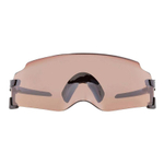 Oakley Plastic Irregular Shape Sunglasses