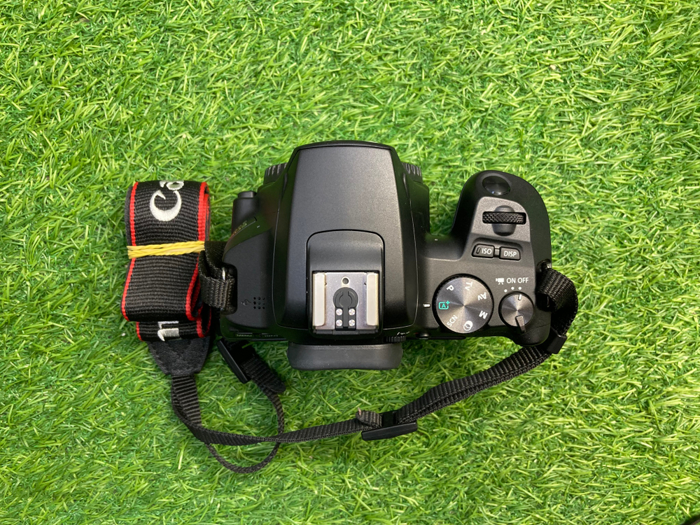 Canon 250D + 18-55mm (1000 кадров) Покупка/Продажа