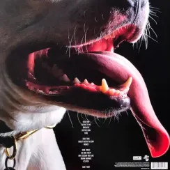 Roger Waters – The Dark Side Of The Moon Redux (Coloured) LP