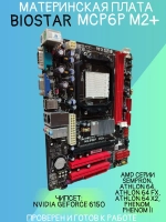 Материнская плата BIOSTAR MCP6P M2+