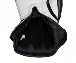 Перчатки боксерские Speed Tilt 250 черно-белые SPD250TG