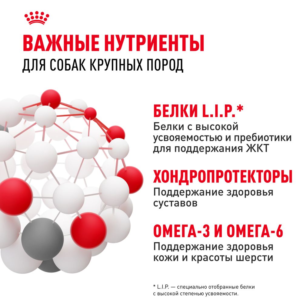 Сухой корм Royal Canin Maxi Adult для взрослых собак крупных размеров от 15 месяцев до 5 лет