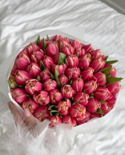 51 тюльпан Коламбус