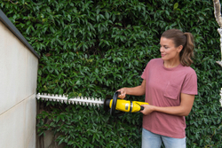 Аккумуляторный кусторез HGE 18-50 Battery