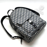 Рюкзак Christian Dior Explorer