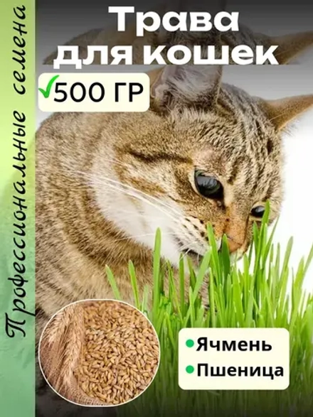 Трава для кошек проращивания 500гр
