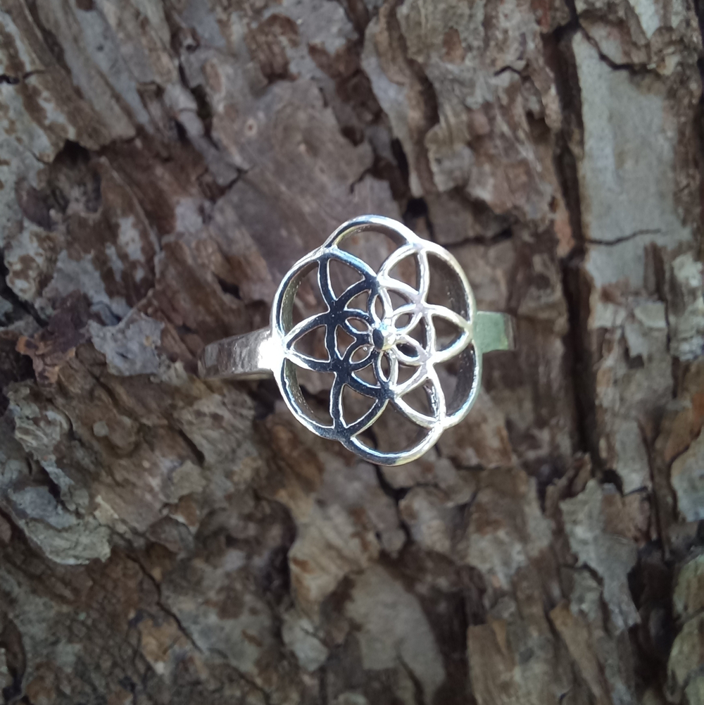 Кольцо СЕМЯ ЖИЗНИ, серебро