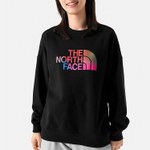 Толстовки THE NORTH FACE Logo, NF0A86QD-JK3