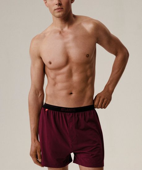 Трусы (2 шт) мужские семейные Atlantic 2MBX-025, хлопок, графитовый + каберне