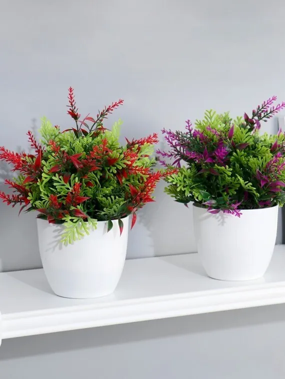 Бонсай в горшке &quot;Куфея пышная&quot; 10*20 см, микс