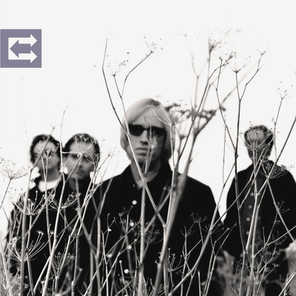 Tom Petty And The Heartbreakers / Echo (2LP)