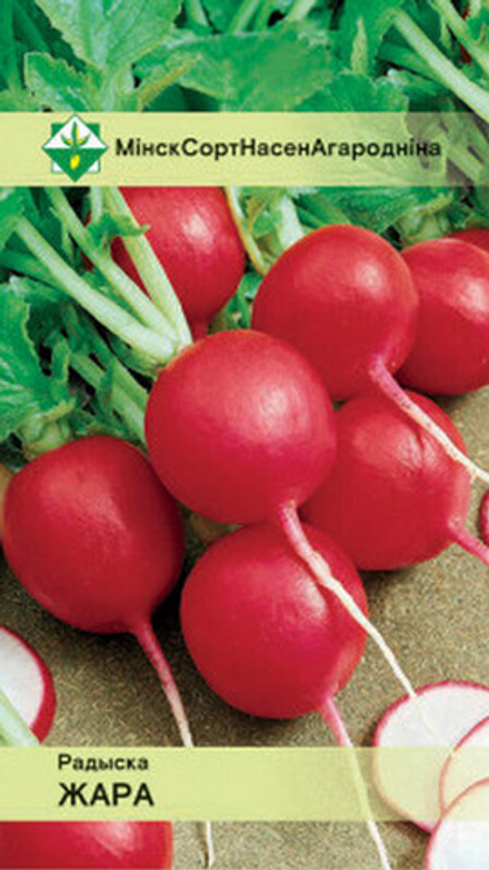 Редис "Жара" 3г, Германия.